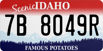 ID license plate 7B8049R