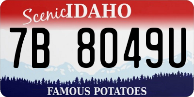 ID license plate 7B8049U