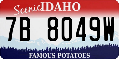 ID license plate 7B8049W
