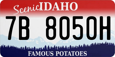 ID license plate 7B8050H