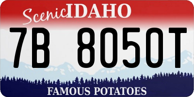 ID license plate 7B8050T