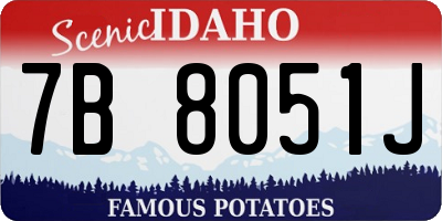 ID license plate 7B8051J