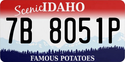 ID license plate 7B8051P