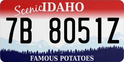 ID license plate 7B8051Z