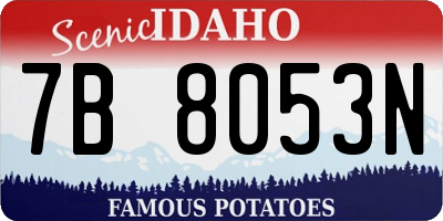 ID license plate 7B8053N