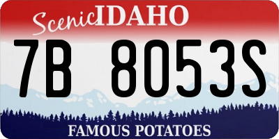 ID license plate 7B8053S
