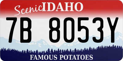 ID license plate 7B8053Y
