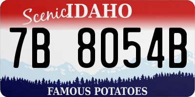 ID license plate 7B8054B
