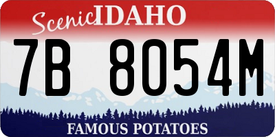 ID license plate 7B8054M