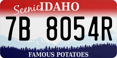 ID license plate 7B8054R