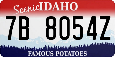 ID license plate 7B8054Z