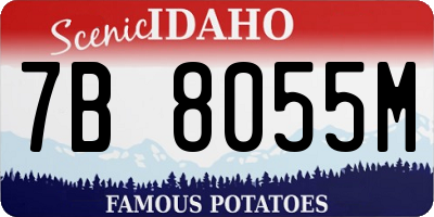 ID license plate 7B8055M