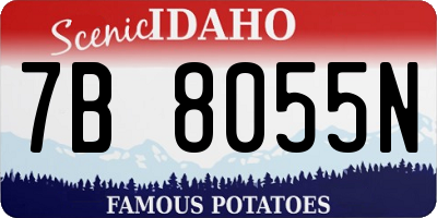 ID license plate 7B8055N