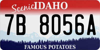ID license plate 7B8056A