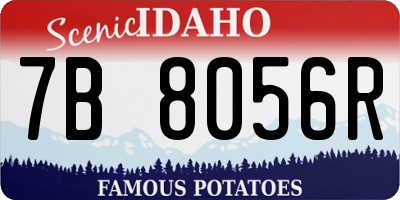 ID license plate 7B8056R