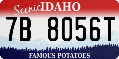ID license plate 7B8056T