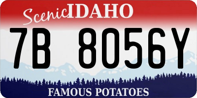ID license plate 7B8056Y