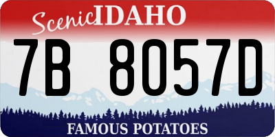 ID license plate 7B8057D