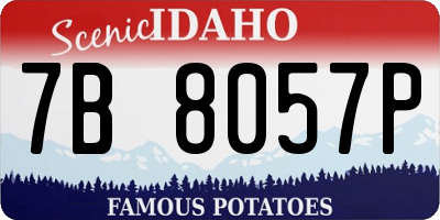 ID license plate 7B8057P
