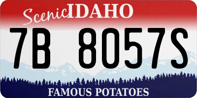 ID license plate 7B8057S