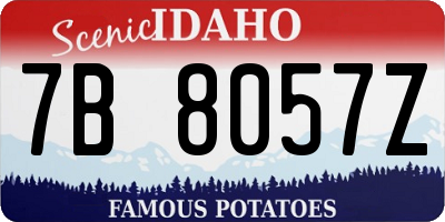 ID license plate 7B8057Z