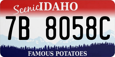 ID license plate 7B8058C