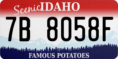 ID license plate 7B8058F
