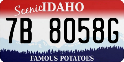 ID license plate 7B8058G