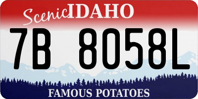 ID license plate 7B8058L