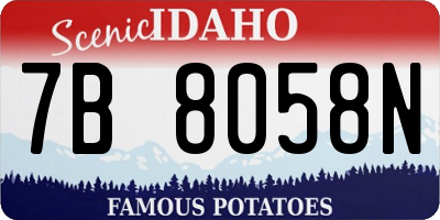ID license plate 7B8058N
