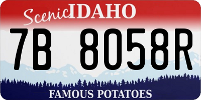 ID license plate 7B8058R