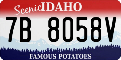 ID license plate 7B8058V