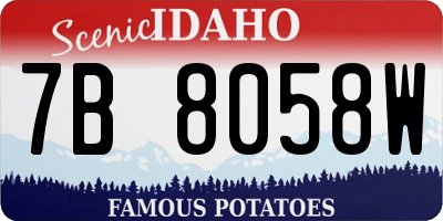 ID license plate 7B8058W