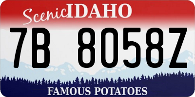 ID license plate 7B8058Z