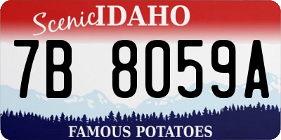ID license plate 7B8059A