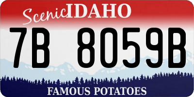 ID license plate 7B8059B