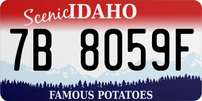 ID license plate 7B8059F