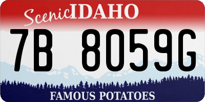 ID license plate 7B8059G