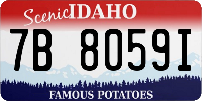 ID license plate 7B8059I