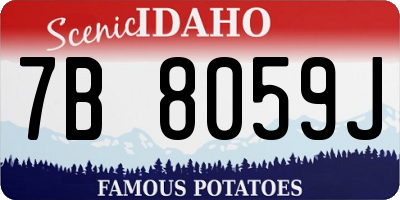 ID license plate 7B8059J