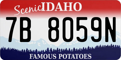 ID license plate 7B8059N