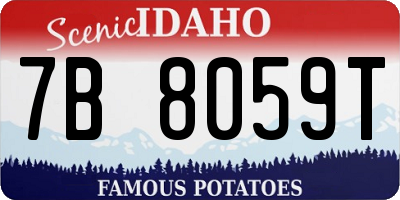 ID license plate 7B8059T
