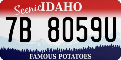 ID license plate 7B8059U