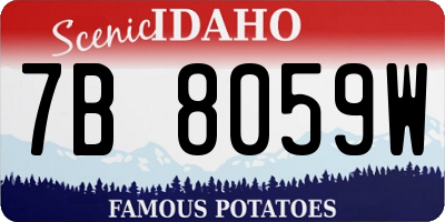 ID license plate 7B8059W