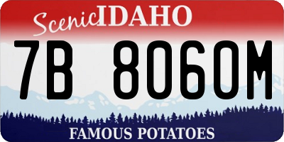 ID license plate 7B8060M