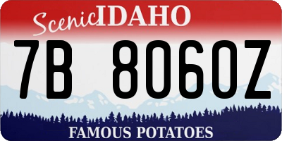 ID license plate 7B8060Z