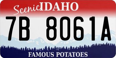 ID license plate 7B8061A