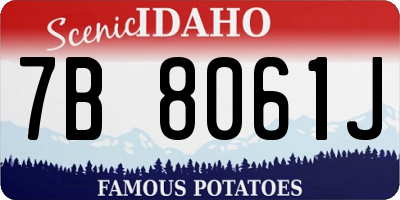 ID license plate 7B8061J