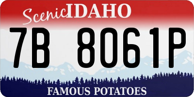 ID license plate 7B8061P