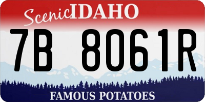 ID license plate 7B8061R